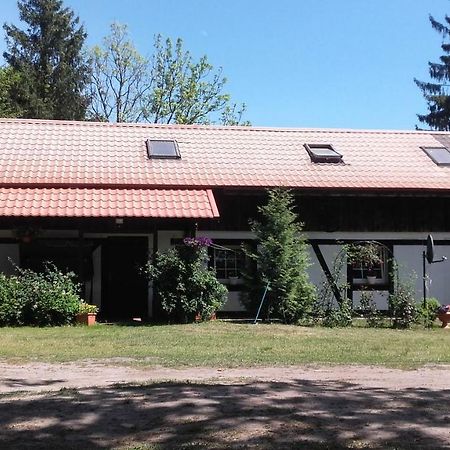 Agroturystyka Pod Debami W Klukach Smołdzino エクステリア 写真