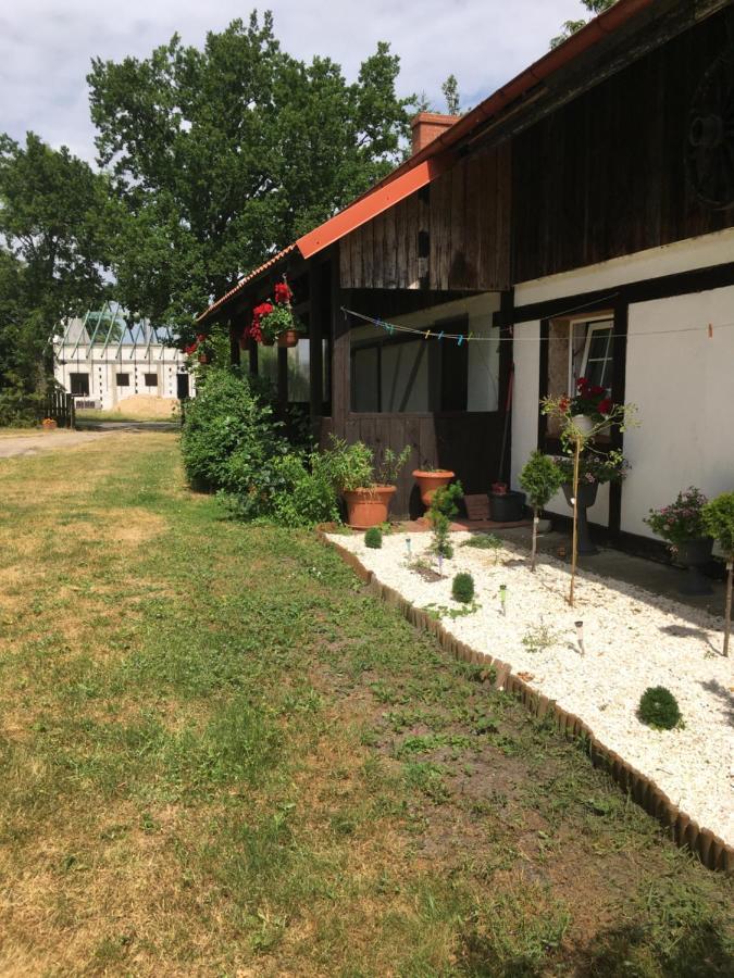 Agroturystyka Pod Debami W Klukach Smołdzino エクステリア 写真