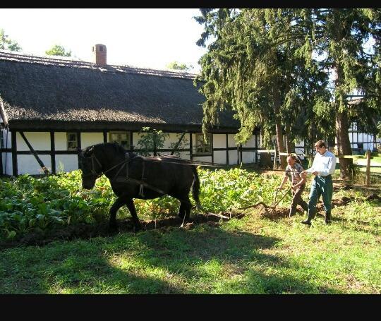 Agroturystyka Pod Debami W Klukach Smołdzino エクステリア 写真